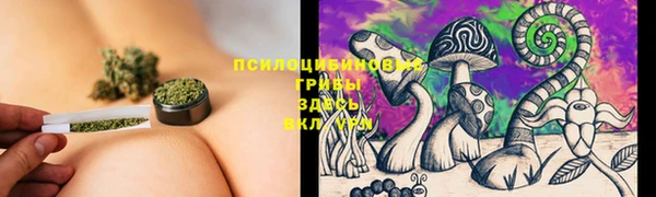 мяу мяу мука Белоозёрский
