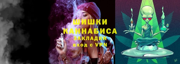 2c-b Белокуриха