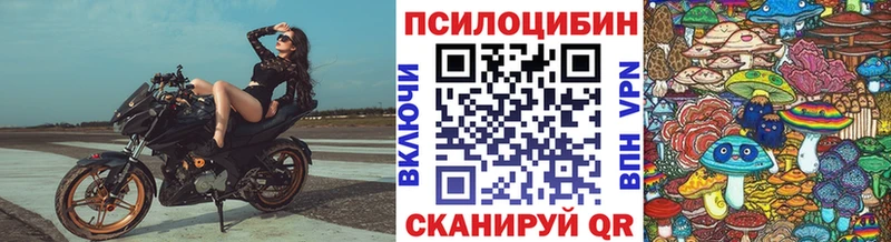 Псилоцибиновые грибы Psilocybe Бийск